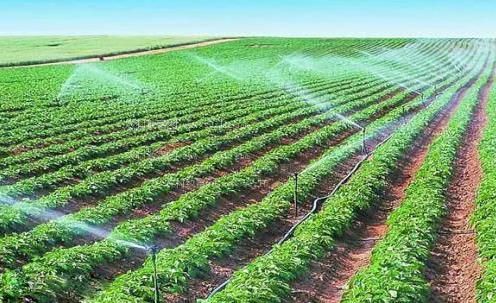 紧屄在线视频农田高 效节水灌溉